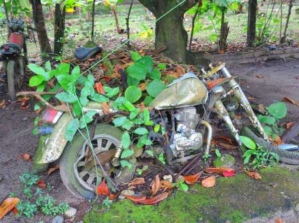 Épave de moto ancienne avec des feuilles