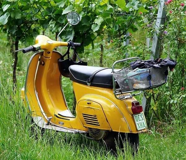 Scooter neuf dans les herbes
