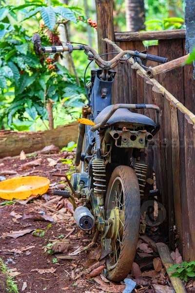 Vieille moto abandonnée dans la foret